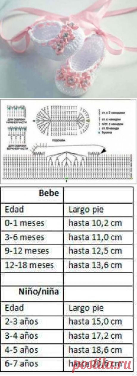 ‎عالم الكروشية‎