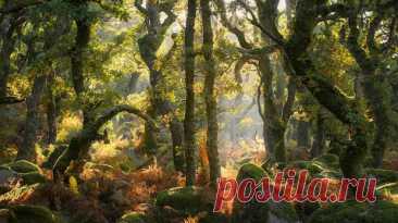 Победители конкурса Natural Landscape Photography Awards 2025