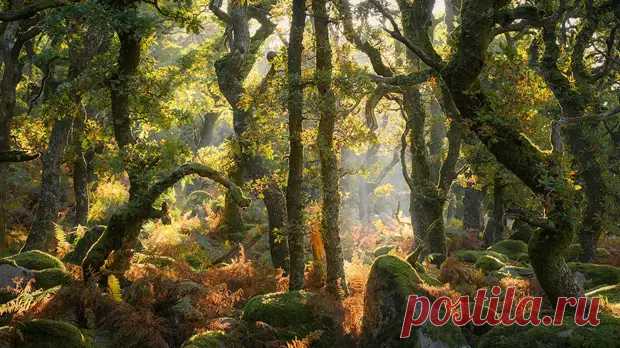 Победители конкурса Natural Landscape Photography Awards 2025