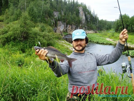 5 Секретов ловли хариуса на бомбарду И так давайте разберемся все таки с определенными принципами ловли хариуса на бомбарду. Такой вид рыбалки не многим отличается от нахлыстовой снасти. Тут так же делается заброс чуть выше по течению…