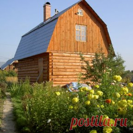 (30) Одноклассники