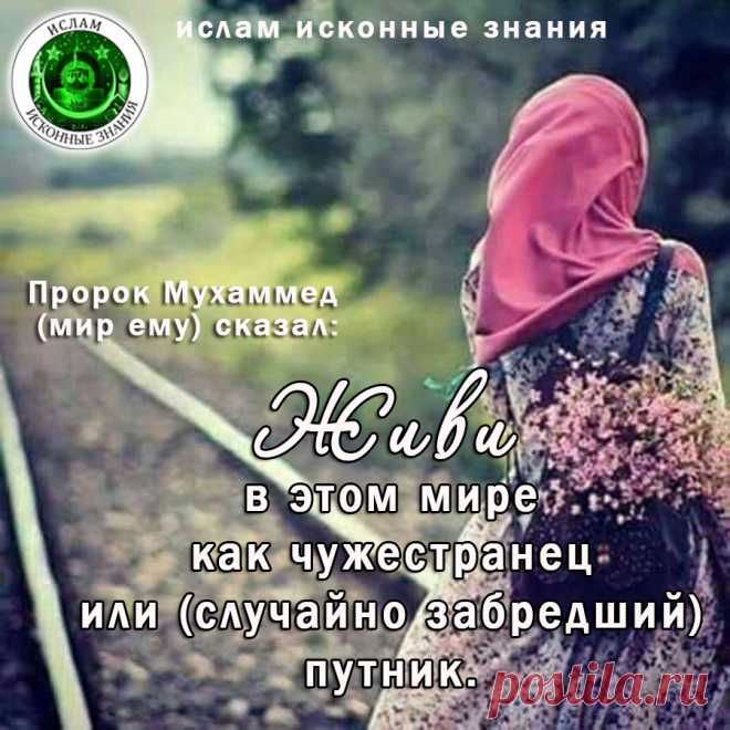 И вновь немного об Аллат! | Блог Джамал | КОНТ