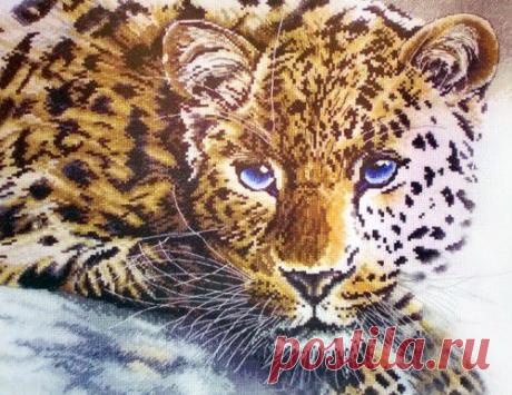 Rare Beauty - StitchArt.net - Искусство вышивания крестиком