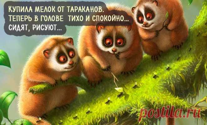 Самая веселая подборка прикольных картинок