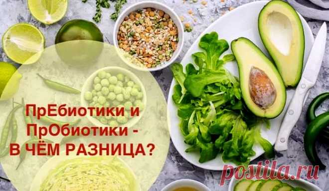 Пробиотики и пребиотики - что это, в чем разница, список лучших средств для восстановления микрофлоры кишечника