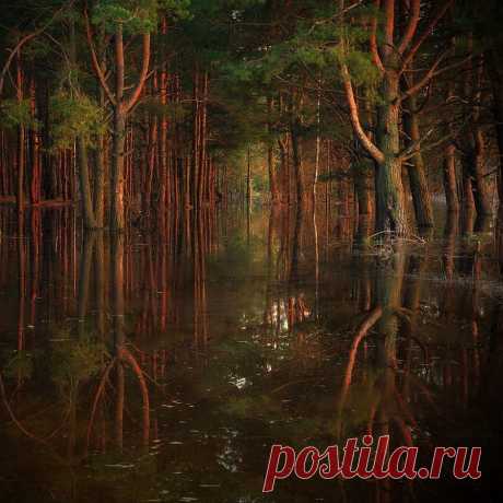 25 лучших снимков с ежегодного фотоконкурса дикой природы | Это интересно!