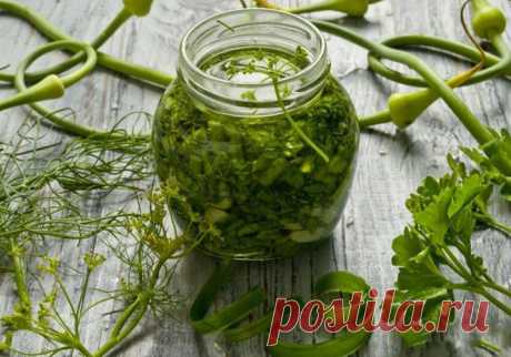 Рецепты приготовления чесночных стрелок: готовим необыкновенную вкуснятину Мы собрали самые лучшие рецепты приготовления чесночных стрелок. Большая подборка из 9 рецептов должна быть в копилке каждой хозяюшки. Не пропустите!
