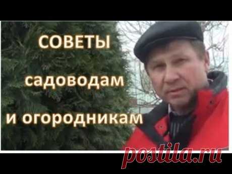 ПОЛЕЗНЫЕ СОВЕТЫ. Боремся с вредителями БЕЗ ХИМИИ, КОМПОСТ из садового мусора!