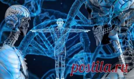 «Интеллект не передается от отца к сыну»: интересные факты из мира генетики - ПолонСил.ру - социальная сеть здоровья - 10 октября - 43670222040 - Медиаплатформа МирТесен Читать мужчинам и женщинам! Чтобы спрогнозировать умственные способности своего сына, гляди на отца своей жены… 1. Интеллект не передается от отца к сыну. То есть, если вы гений, то ваш сын 100% не унаследует ваших генов. 2. Идиотизм не передается от отца к сыну. Если вы законченный кретин, то ваш - 10 окт...