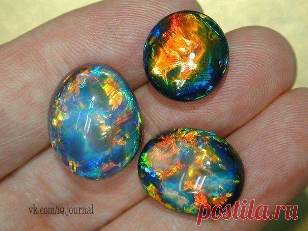 Черные опалы.