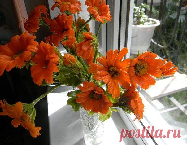 УНИКАЛЬНЫЕ ЦЕЛЕБНЫЕ ОТВАРЫ НА ОСНОВЕ КАЛЕНДУЛЫ.