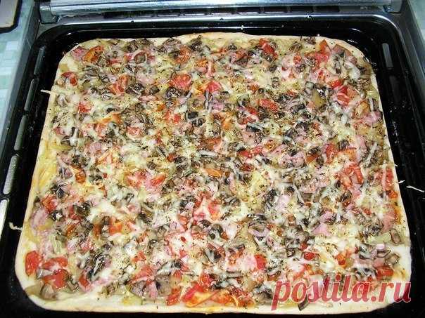 Как приготовить пиццу с тонкой хрустящей основой за 20 минут

Рецепт: http://www.recepty-s-photo.com/kak-prigotovit-pitstsu..