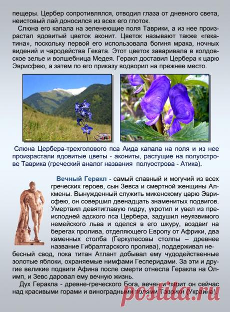 Др наук Сан Чад * История Античной Украины – 92 фотографии