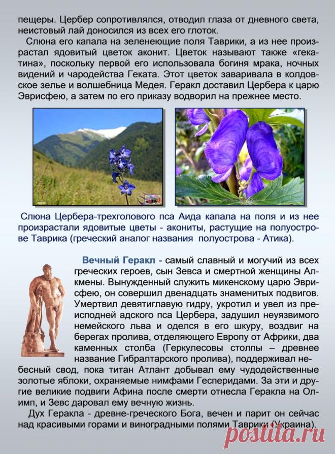 Др наук Сан Чад * История Античной Украины – 92 фотографии