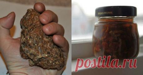 В природе существует один уникальнейший продукт, который убивает любой вирус, бактерии и даже грибок