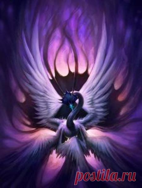 fantasy swans - Google Search