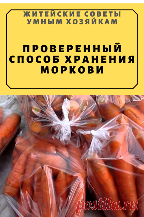 ПРОВЕРЕННЫЙ СПОСОБ ХРАНЕНИЯ МОРКОВИ | Житейские Советы