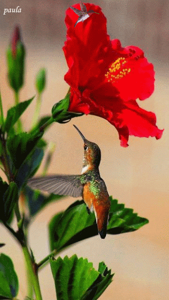 Мир живописи и поэзии - Google+