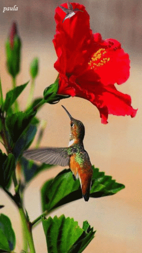Мир живописи и поэзии - Google+