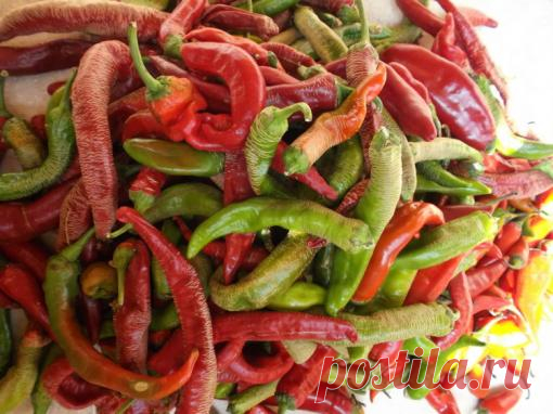 Лютивка из острого перца с чесноком - болгарская кухня | 4vkusa.ru