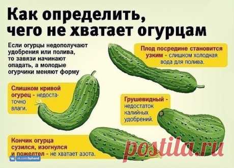 Дачникам пригодится!