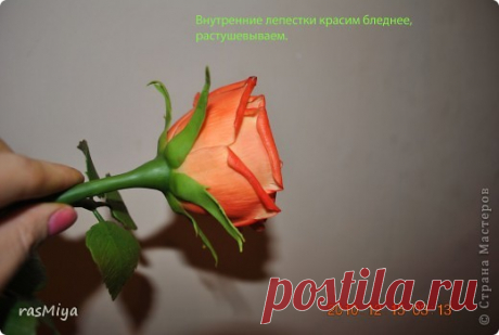МК по лепке розы. Часть5-покраска
