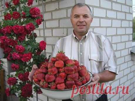 (24) Одноклассники