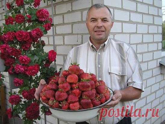 (24) Одноклассники