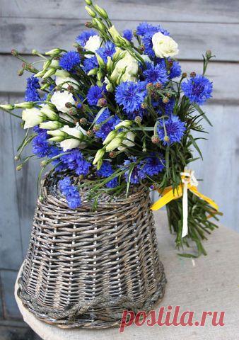 БУКЕТЫ ИЗ КОНФЕТ РЕКВИЗИТ ДЛЯ ФОТОСЕССИЙ
38 лет, Украина, Киев