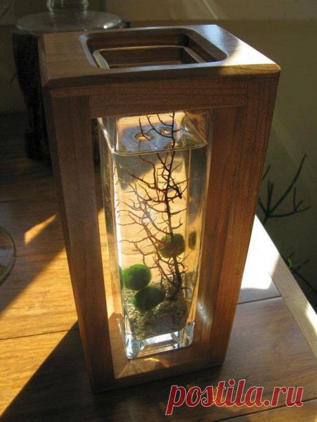 Миниатюрный аквариум как элемент декора ~ Planetalsad