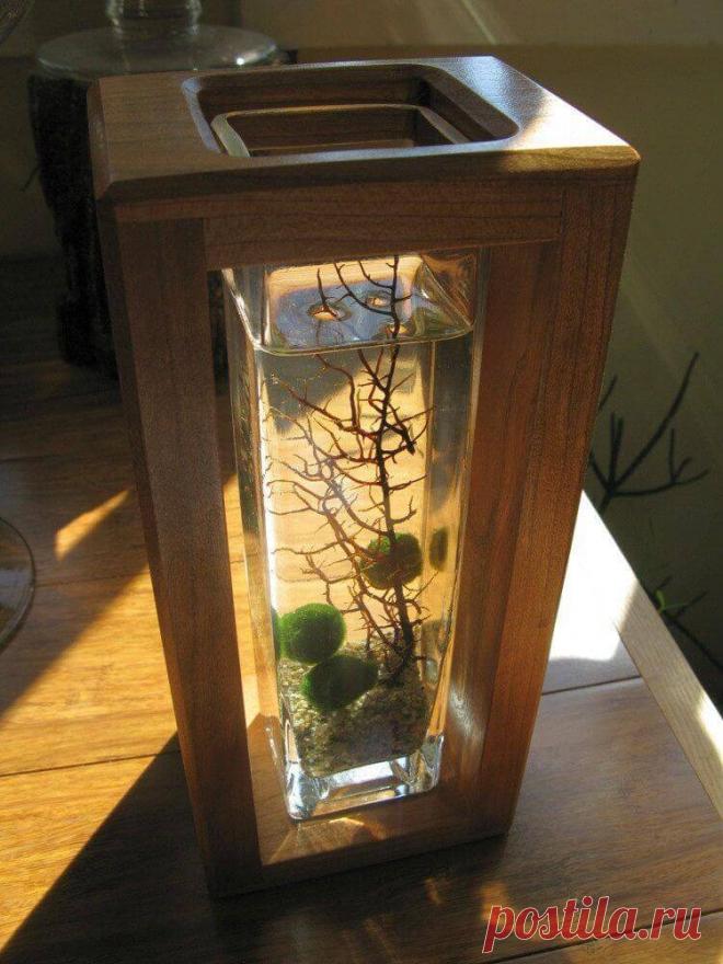 Миниатюрный аквариум как элемент декора ~ Planetalsad