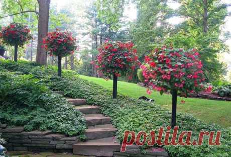 Контейнерный сад своими руками