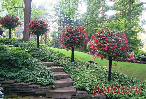 Контейнерный сад своими руками