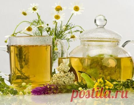 Считалка-напоминалка народного лекаря