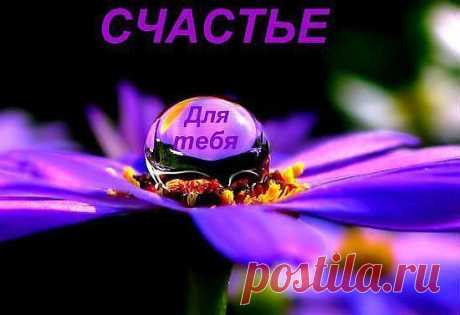 Не держите на сердце обиду,
И хоть порваны чувства в клочья,
Отслужив по Тоске панихиду,
Отделите её многоточием.

Чужаку не подайте вида,
Что в душе ещё ноют раны.
Будет новая в жизни Орбита,
Пусть печали уносят туманы.

Завершите достойно корриду:
Просто молча уйдите в сторону.
И найдёте в миг Атлантиду,
Где всегда непременно здорово.

Не держите на сердце обиду,
Это Жизнью с лихвою зачтётся.
От проблем не сгибайте спину,
И тогда к вам удача вернётся.