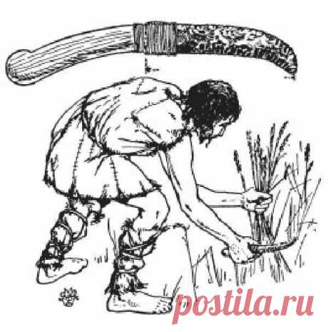 | Пеласг земледелец