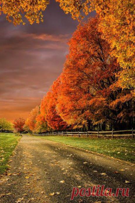 Интересные новости