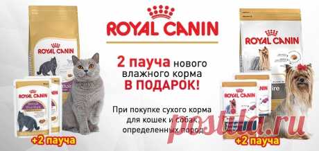 Интернет зоомагазин PetShop : товары для животных | зоотовары онлайн | корма для домашних животных