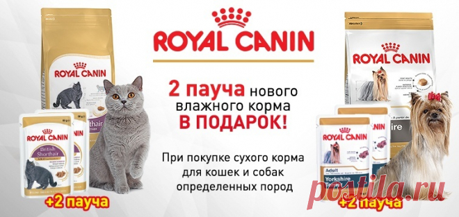 Интернет зоомагазин PetShop : товары для животных | зоотовары онлайн | корма для домашних животных