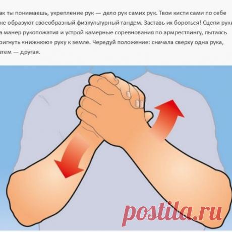 Простые упражнения для тренировки всех мышц рук