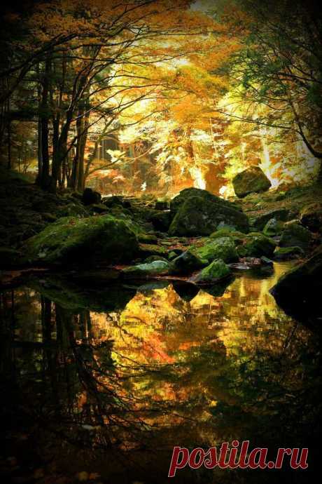 Pinterest