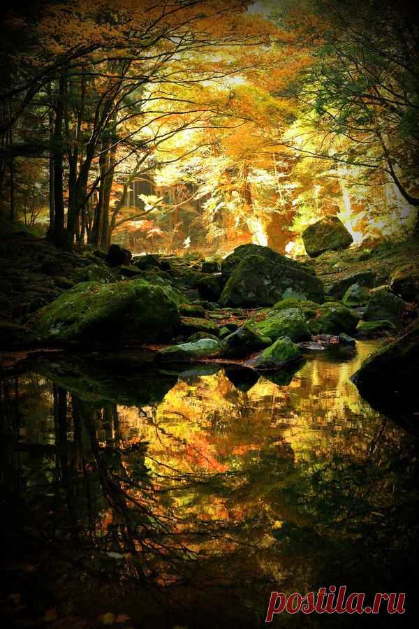 Pinterest