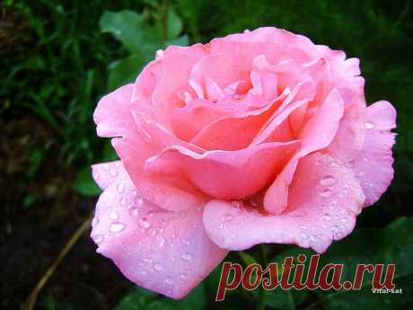 B 4 U — «&quot; Эксклюзив &quot;» на Яндекс.Фотках