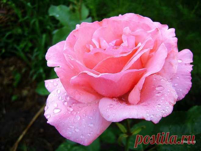 B 4 U — «" Эксклюзив "» на Яндекс.Фотках