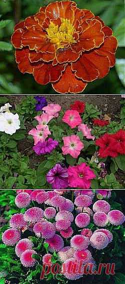 Познавательный Интернет-журнал "Умеха - мир самоделок" -