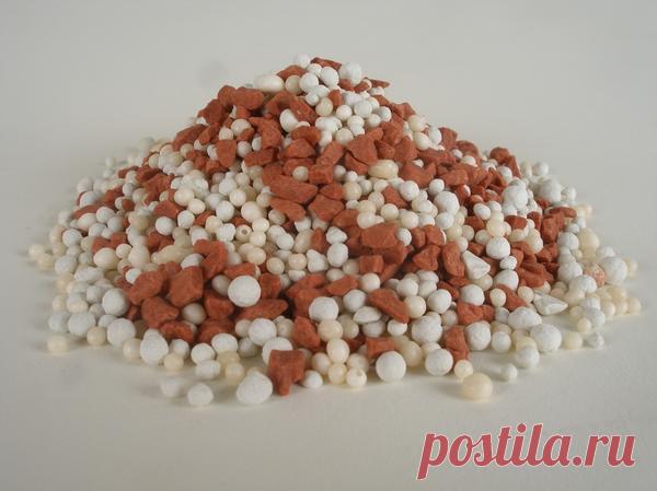 Суперфосфат и как его применять / суперфосфаты / 7dach.ru