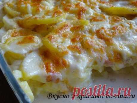 Картофельный гратен | Вкусно и красиво!