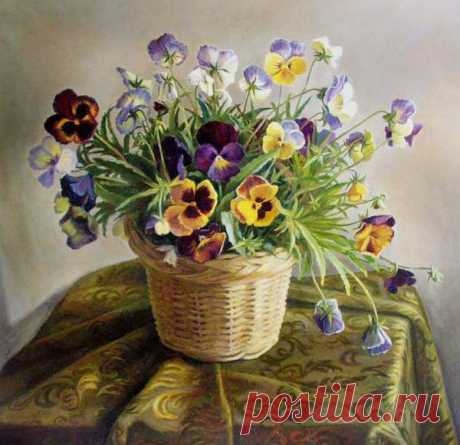 Анютины глазки.