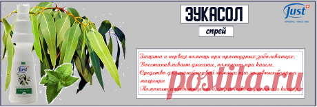 Спрей от вирусов Эукасол создан для облегчения дыхания в городах с повышенной воздуха, для улучшения состояния при бронхо–легочных заболеваниях, применяется как защитное средство во время эпидемий гриппа, используется для профилактики ОРВИ, простуд, бронхитов, синуситов. Помогает нейтрализовать запахи табака, гари, а так же показан людям, чья работа связана с частым воздействием пыли. Увеличивает концентрацию внимания, работоспособность при интеллектуальном труде.