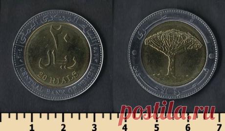 Драконовые деревья острова Сокотра / Репортажи / Моя Планета
